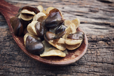 Similar image 9177481