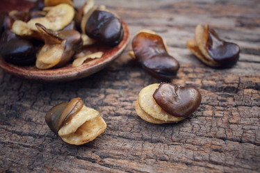 Similar image 9177488