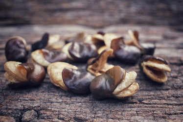 Similar image 9177560