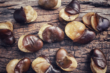 Similar image 9177562