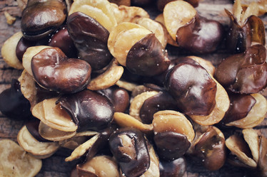 Similar image 9177564