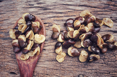 Similar image 9177566