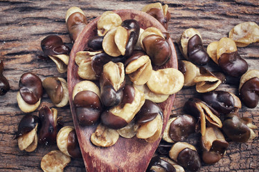 Similar image 9177568