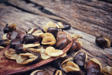 Similar image 9177570