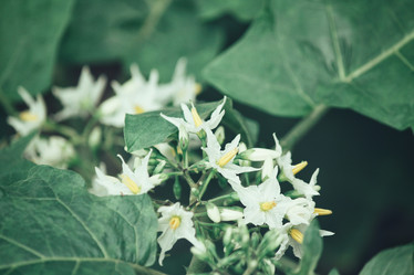 Similar image 9177572