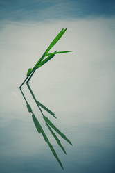 Similar image 9177574