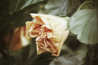 Similar image 9177576