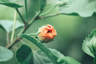 Similar image 9177578