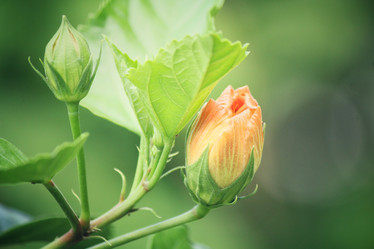 Similar image 9177580