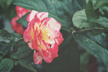 Similar image 9177586