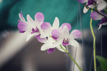 Similar image 9177592