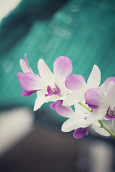 Similar image 9177594