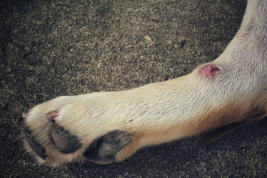 Similar image 9177714