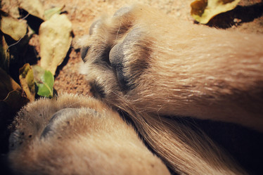 Similar image 9177719