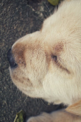 Similar image 9177721