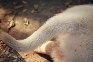 Similar image 9177723