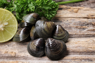 Similar image 9177875