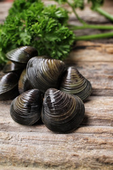 Similar image 9177876