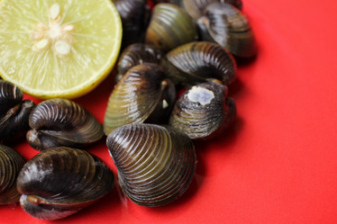 Similar image 9177920