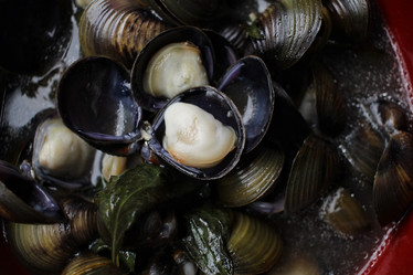 Similar image 9177926