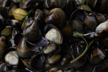 Similar image 9177945