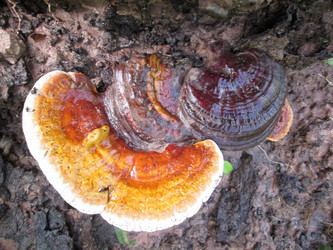 Similar image 9178116