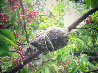 Similar image 9178123