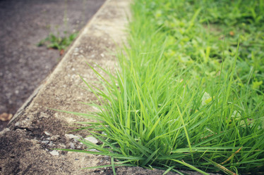 Similar image 9178140