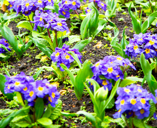 Similar image 9178172