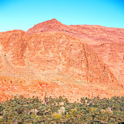 Similar image 9178199