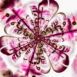 Similar image 9178270