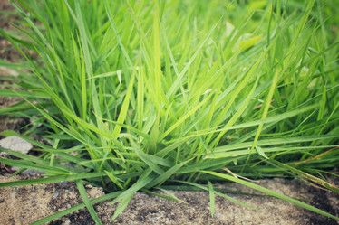 Similar image 9178378