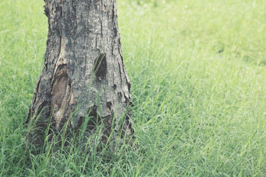 Similar image 9178400