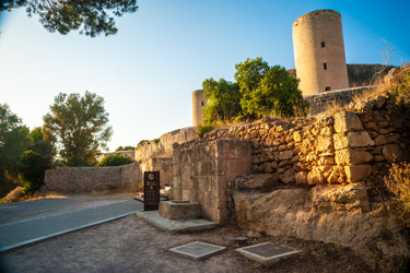 Similar image 9178823