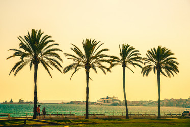 Similar image 9178840