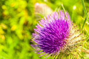 Similar image 9178865