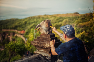 Similar image 9183308