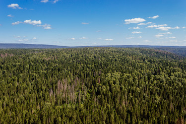 Similar image 9183823