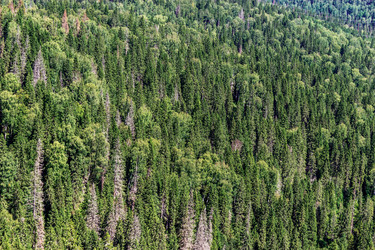 Similar image 9183827