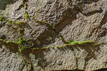 Similar image 9183841