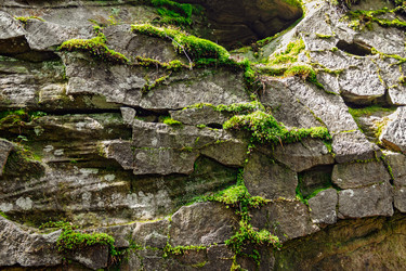 Similar image 9183846