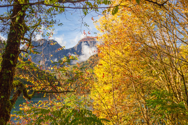 Similar image 9218940