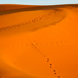 Similar image 9219699