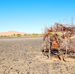 Similar image 9219708