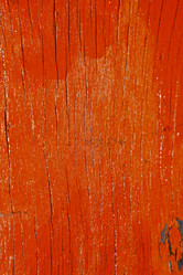 Similar image 9219728