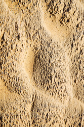 Similar image 9219999