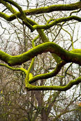 Similar image 9224746