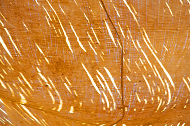 Similar image 9224880