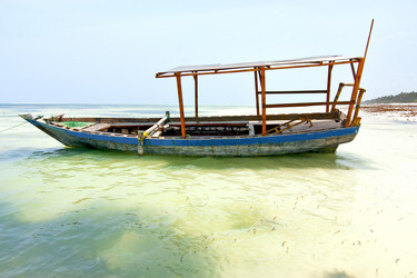 Similar image 9224885