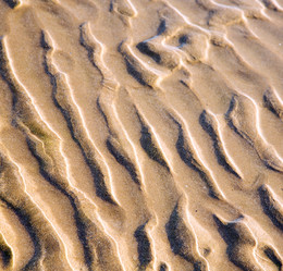 Similar image 9224958